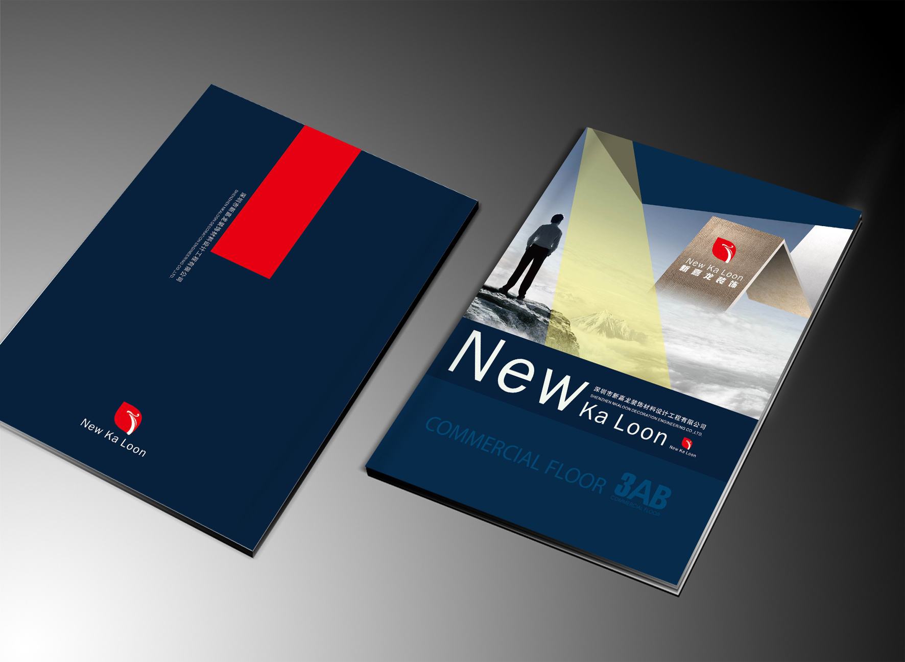 廠家專業(yè)生產各種高低檔包裝禮盒，牛皮紙箱，白卡紙箱，瓦楞紙箱， 手提袋 廠家專業(yè)生產各種高低檔包裝禮盒