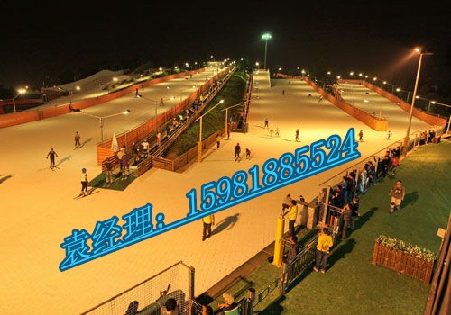 旱雪場(chǎng)出租租賃  旱雪場(chǎng)活動(dòng)價(jià)格  旱雪場(chǎng)出售價(jià)格