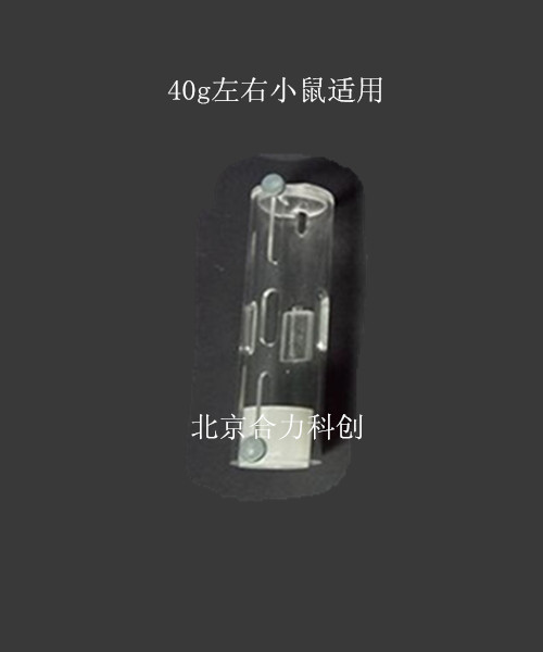 單筒小鼠固定器架  型號：HL-GJ-1