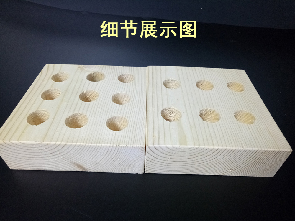 昆蟲針臺(tái) 智科儀器ZK-ZT 昆蟲針放置臺(tái)