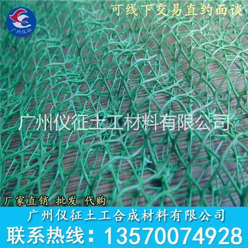 廣州三維植草網(wǎng)|廣州三維植草網(wǎng)廠家供應(yīng)|廣州三維植草網(wǎng)廠家|三維植草網(wǎng)供貨商|三維植草網(wǎng)廠家報價|三維植草網(wǎng)供應(yīng)商