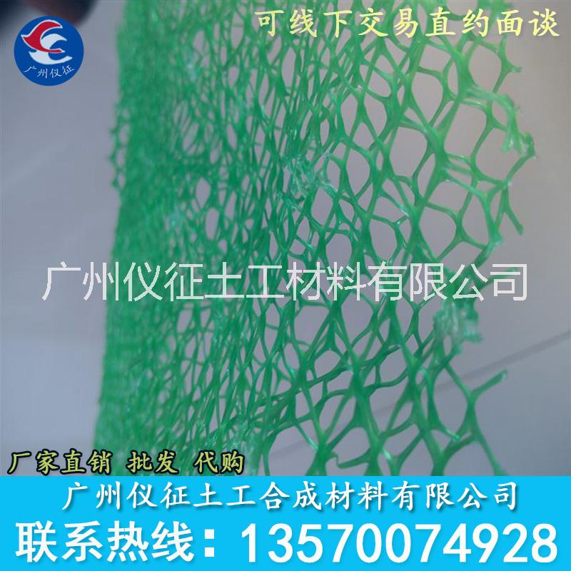 廣東EN1、EN2、EN3三維植草網(wǎng)廠(chǎng)家
