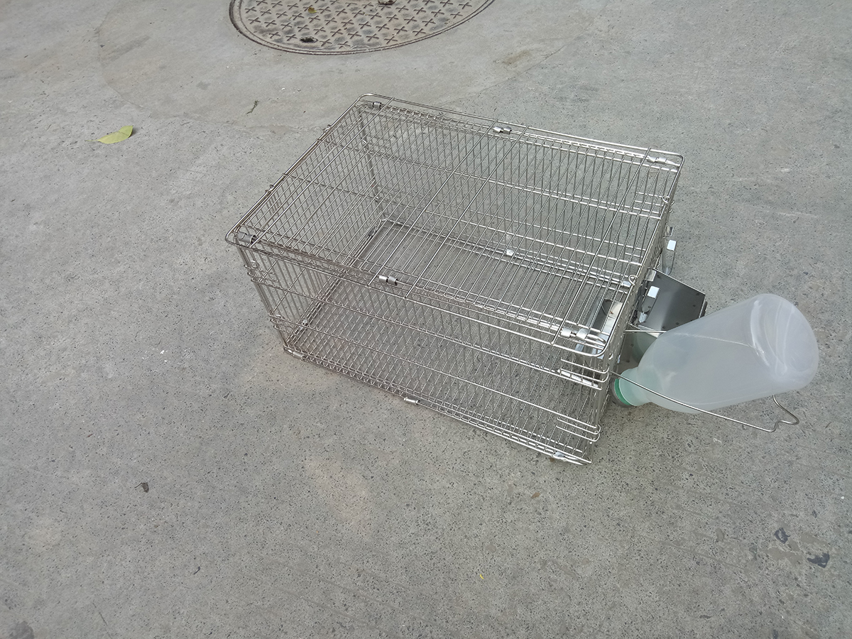 不銹鋼大鼠籠 干樣式大鼠籠 群養(yǎng)式大鼠籠 智科儀器