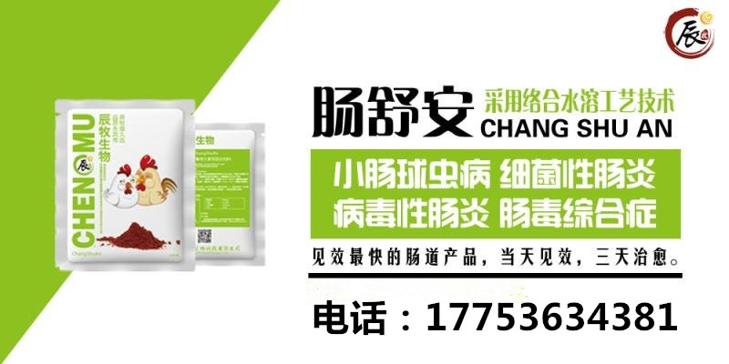 夏季家禽拉稀治不好？看這里