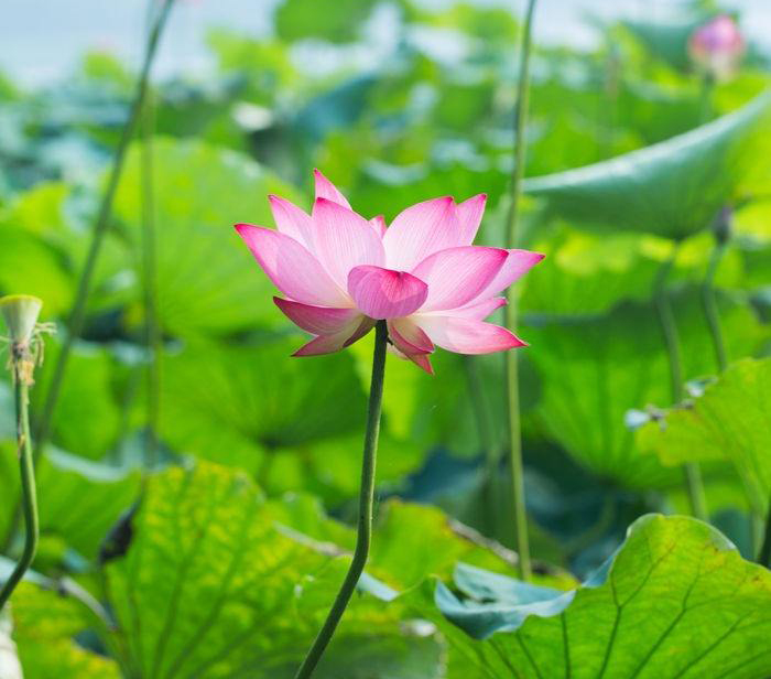 竹炭?jī)羧﹩」馊槟z漆供應(yīng)商 竹炭?jī)羧﹩」馊槟z漆價(jià)格 竹炭?jī)羧﹩」馊槟z漆廠家 竹炭?jī)羧﹩」馊槟z漆