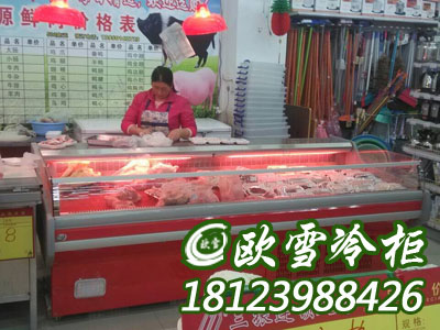 四川哪有實(shí)體店出售臥式鮮肉冷藏柜價(jià)格