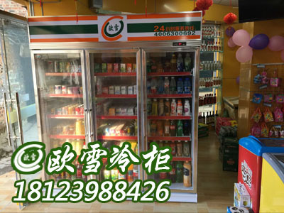 北京有哪些商用飲料保鮮柜品牌的旗艦店