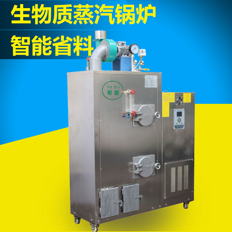旭恩生物質蒸汽發(fā)生器全自動環(huán)保節(jié)能廠家直銷30kg