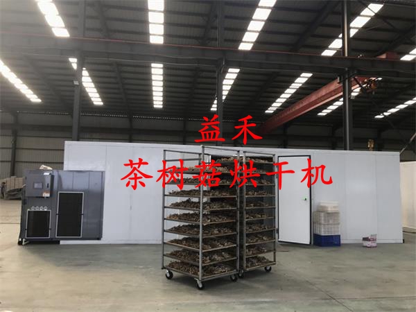智能茶樹菇烘干機 茶樹菇干燥設(shè)備