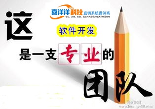 大連專業(yè)直銷軟件開發(fā)公司