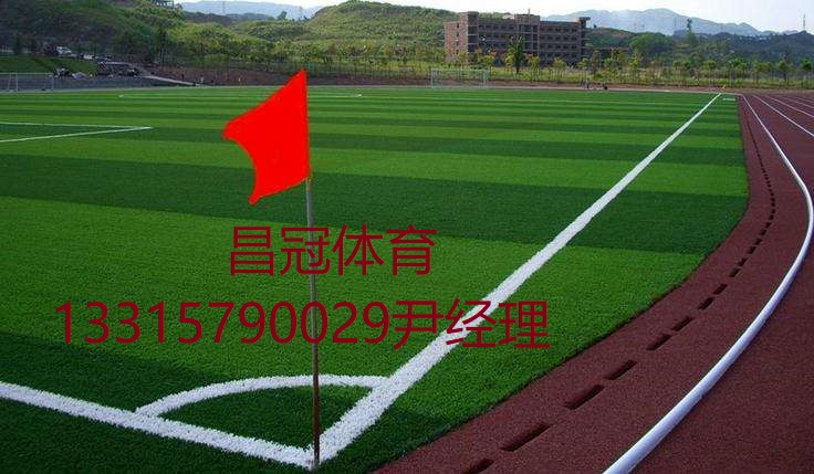 足球場(chǎng)人造草坪廠家施工