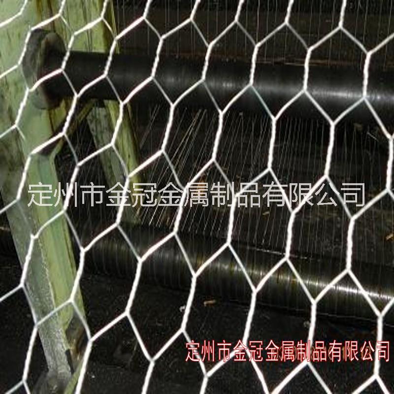 不銹鋼六角網(wǎng)  正反捻六角網(wǎng) 擰花網(wǎng)