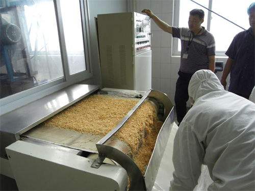 廣州燕麥片微波*機(jī)廠家