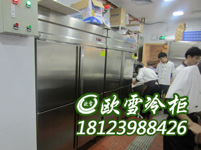 深圳六門冷凍柜定做哪個廠家品牌好耐用
