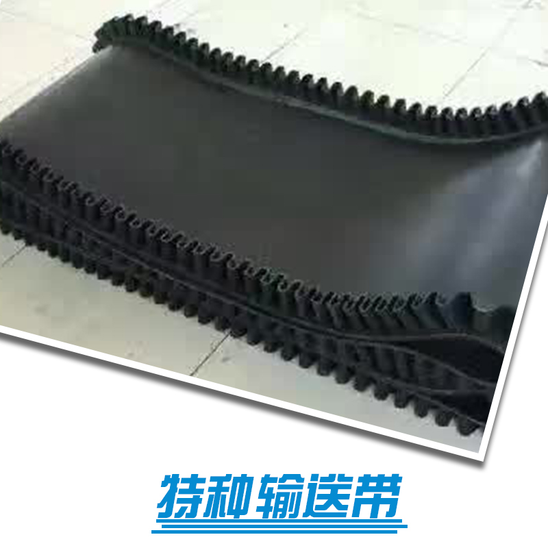 河北特種輸送帶廠家 衡水特種輸送帶訂制 鄭州特種輸送帶報價