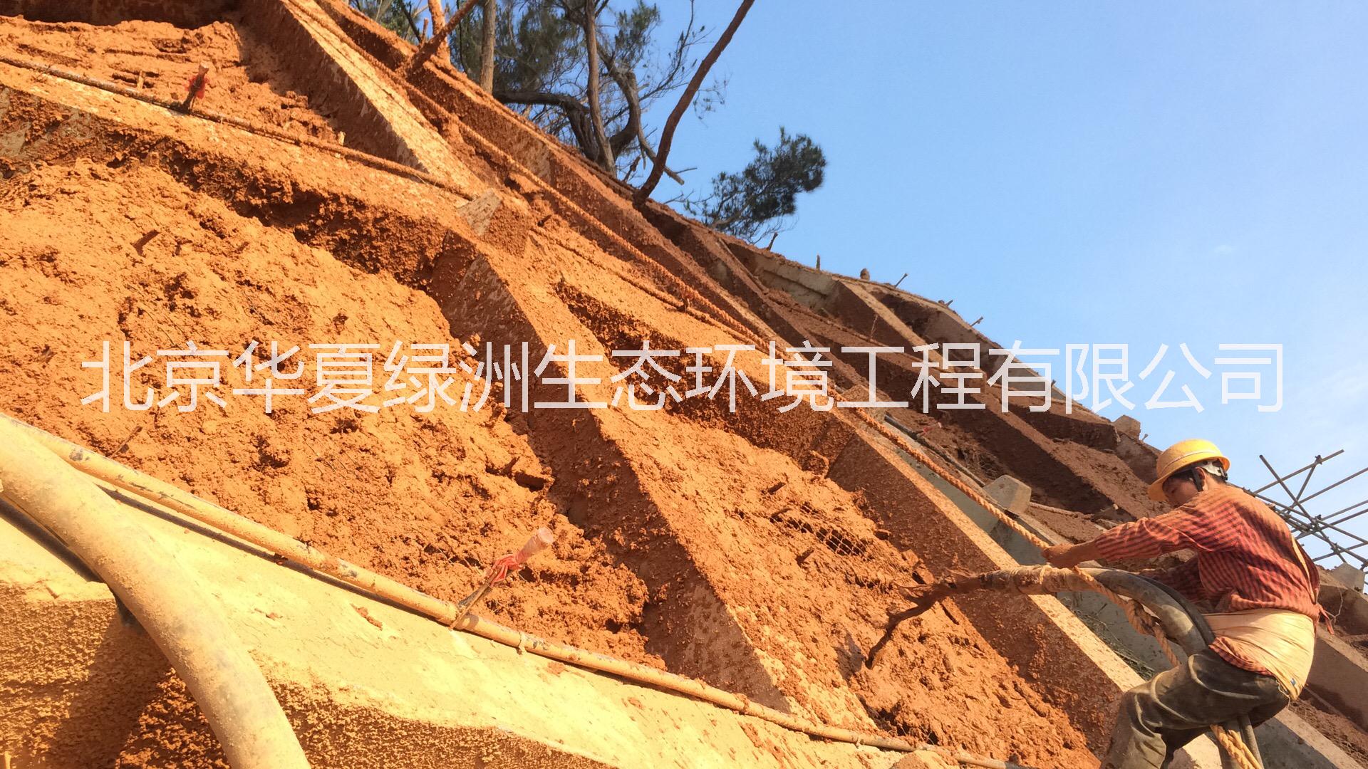 噴播*木纖維  三維侵蝕防護毯   抗侵蝕防護毯  三維侵蝕防護毯   抗侵蝕生態(tài)復(fù)合網(wǎng) 噴播*木纖維