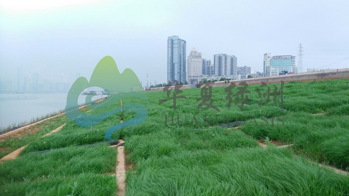 噴播綠化技術(shù) 北京噴播綠化技術(shù) 噴播綠化技術(shù)電 生態(tài)混凝土綠化護(hù)坡技術(shù)土壤修復(fù)