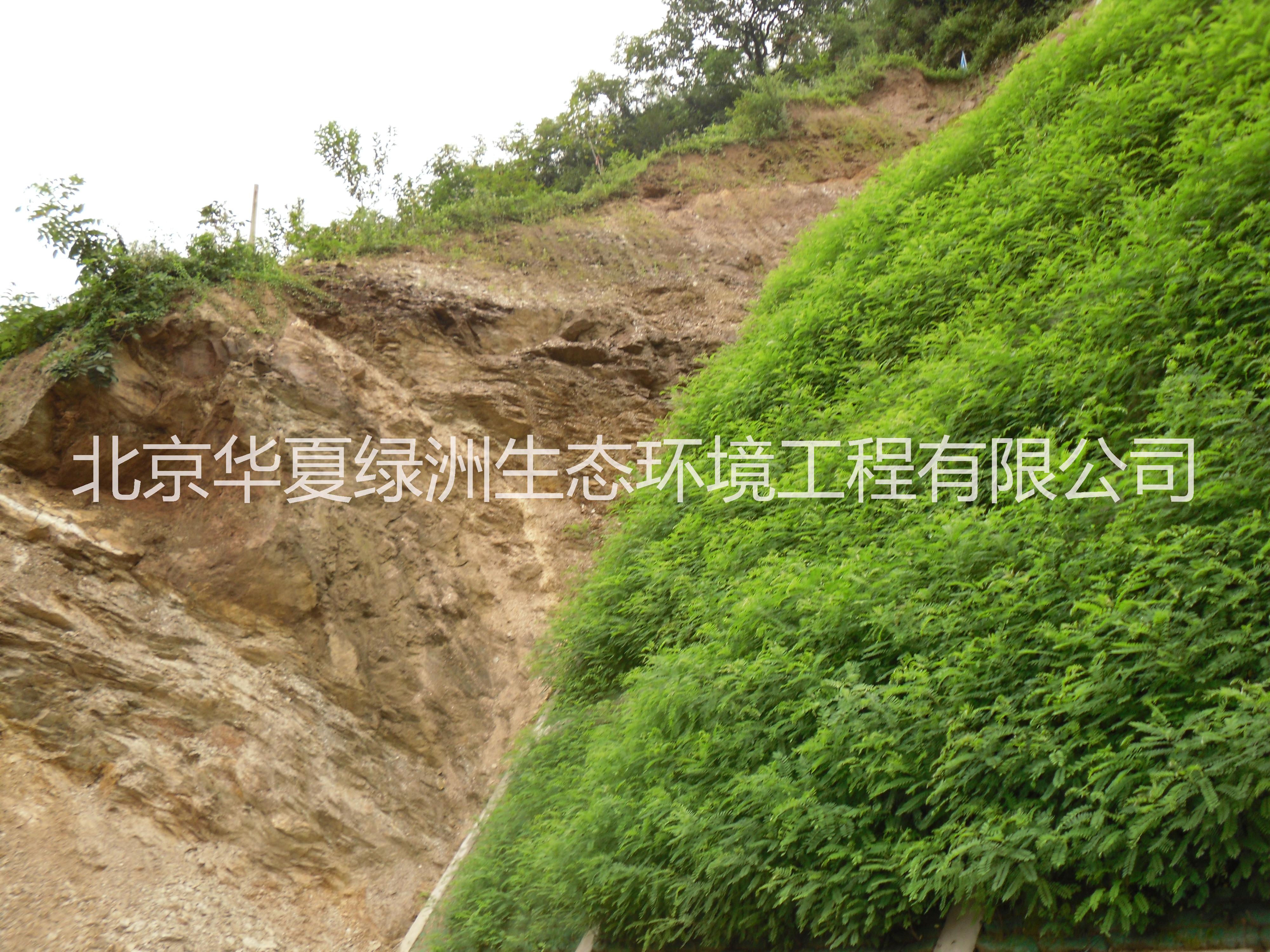 噴播*木纖維  三維侵蝕防護毯   抗侵蝕防護毯  三維侵蝕防護毯   抗侵蝕生態(tài)復(fù)合網(wǎng) 噴播*木纖維