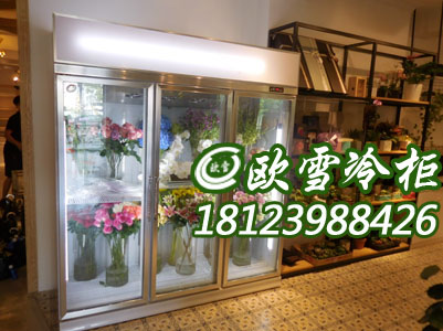 東莞鮮花保鮮柜有哪些廠家品牌在出售供應(yīng)