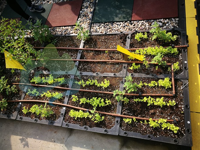 北京綠化工程  生態(tài)修復(fù) 園林綠化   北京華夏綠洲生態(tài) 膨潤土防水毯 北京華夏綠洲生態(tài) 滴灌 噴灌設(shè)備滴灌管滴灌