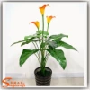 批發(fā)人造植物 馬蹄蓮花 仿真盆景花 樹(shù)脂蓮花 仿真馬蹄蓮 pu