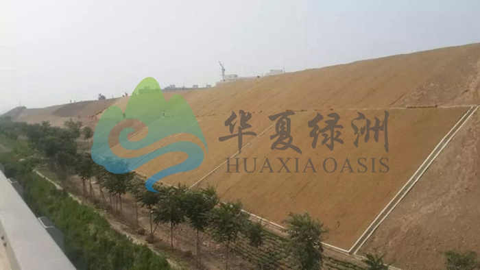 抗侵蝕生態(tài)復(fù)合網(wǎng)  三維侵蝕防護(hù)毯   抗侵蝕防護(hù)毯  三維侵蝕防護(hù)毯   抗侵蝕生態(tài)復(fù)合網(wǎng)