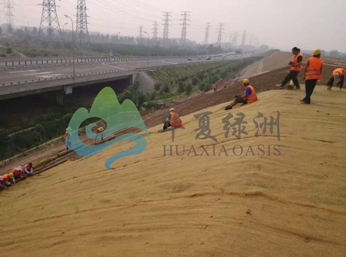 北京噴播綠化技術(shù)  環(huán)保椰纖維生態(tài)植被毯草毯 邊坡修復(fù)綠化 環(huán)保椰纖維生態(tài)植被毯植被毯 環(huán)保椰纖維生態(tài)植被毯邊坡綠化