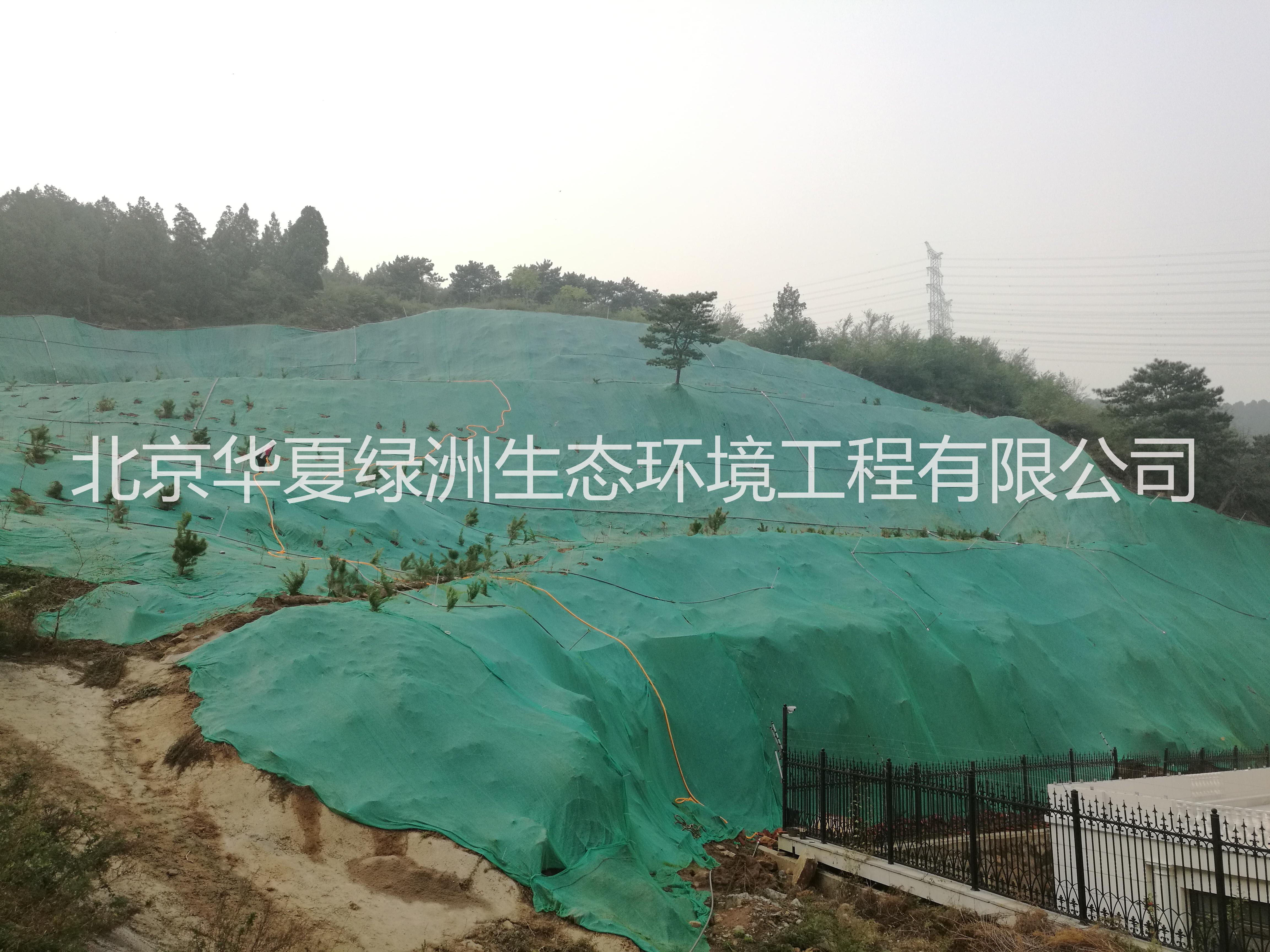 噴播綠化技術(shù) 北京噴播綠化技術(shù)