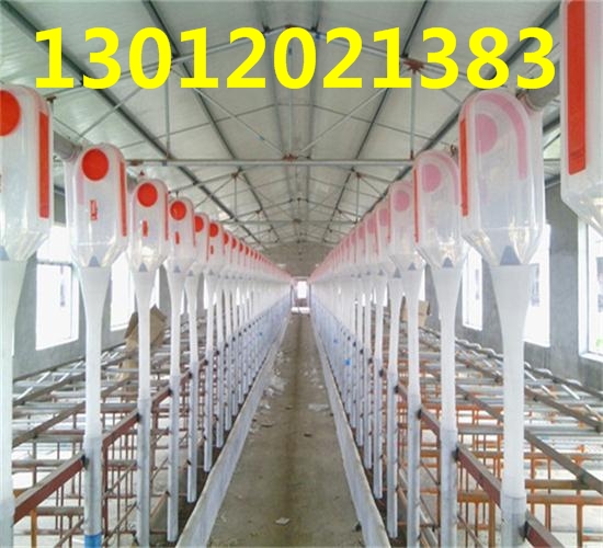 設(shè)計安裝自動化養(yǎng)豬料線自動化喂料系統(tǒng) 自動化料線系統(tǒng)