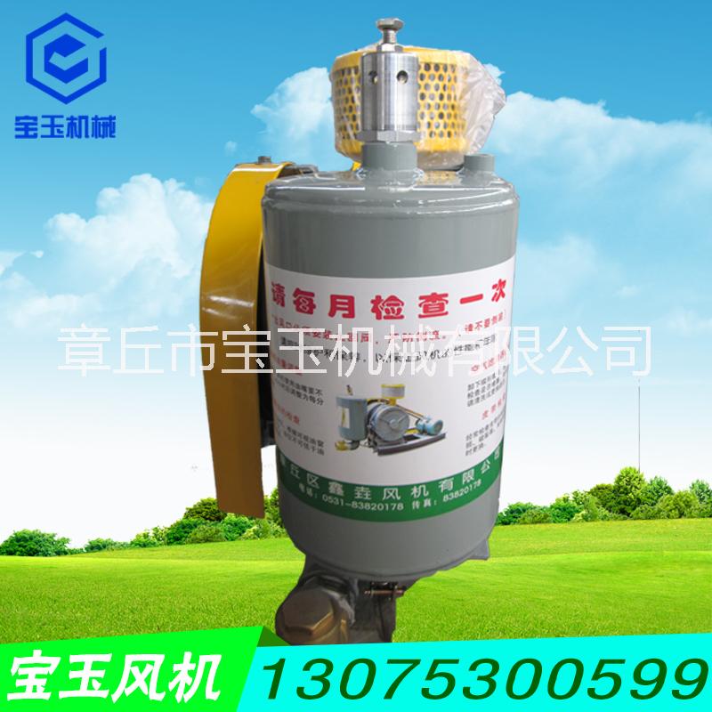 供應(yīng)回轉(zhuǎn)風(fēng)機(jī)羅茨風(fēng)機(jī)