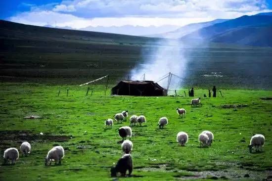 青海旅游公司  青海旅游公司哪家好  青海旅游公司哪家優(yōu)惠  青海旅游公司哪家服務(wù)好 青海旅游公司哪家方便優(yōu)惠