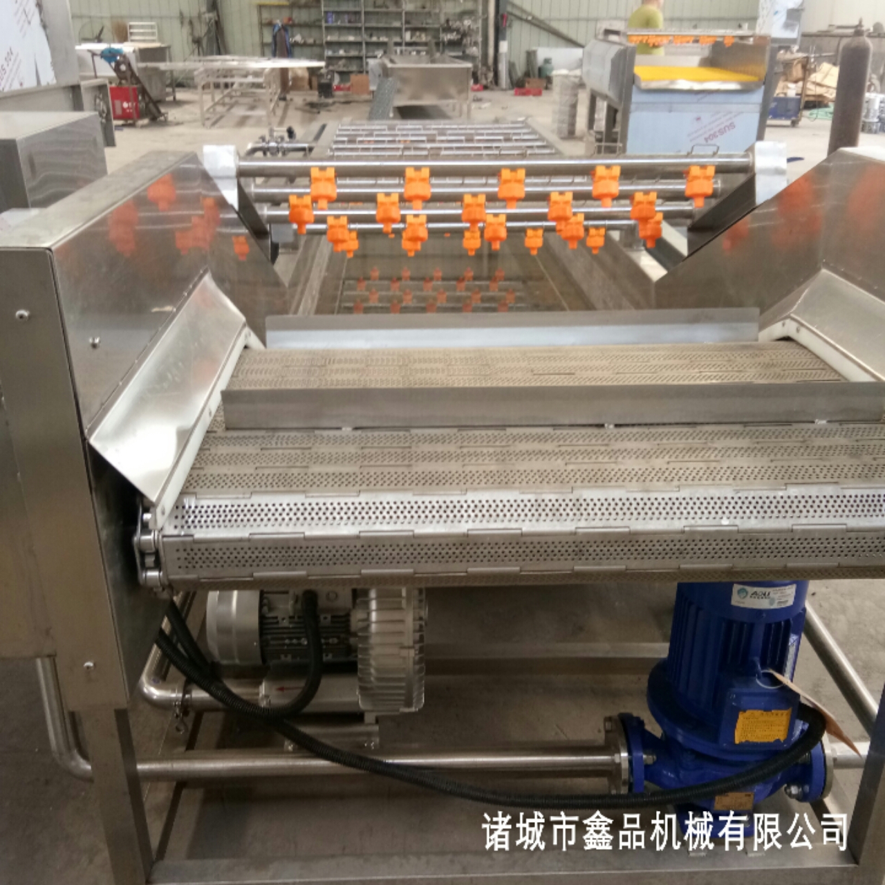 高壓噴淋果蔬清洗機(jī) 鼓氣泡翻滾式清洗設(shè)備 304不銹鋼板材安全環(huán)保