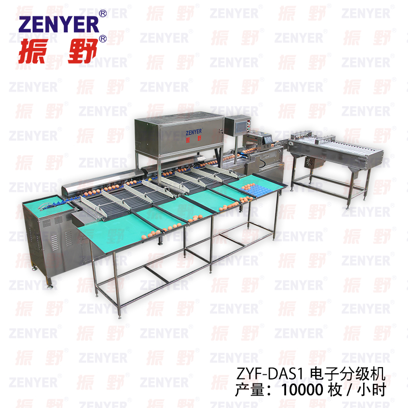 深圳振野*型小型@選蛋機(jī)@全自動(dòng)@雞蛋分選機(jī)@分蛋機(jī)廠家