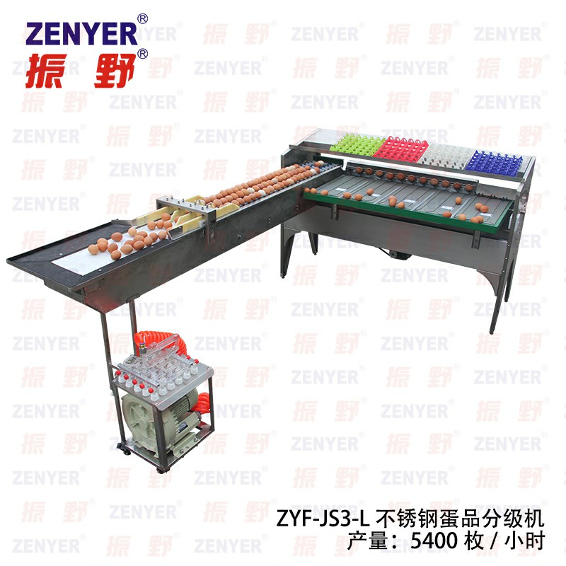 深圳振野*型小型@選蛋機(jī)@全自動(dòng)@雞蛋分選機(jī)@分蛋機(jī)廠家