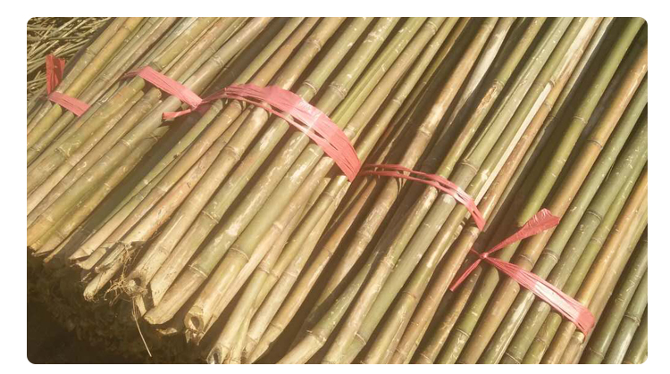 云南菜架竹批發(fā)_竹架板加工價(jià)格