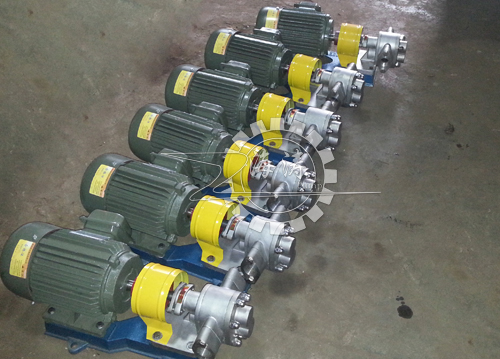 KCB小流量不銹鋼齒輪泵,KCB不銹鋼泵,不銹鋼齒輪泵,高質量高性能