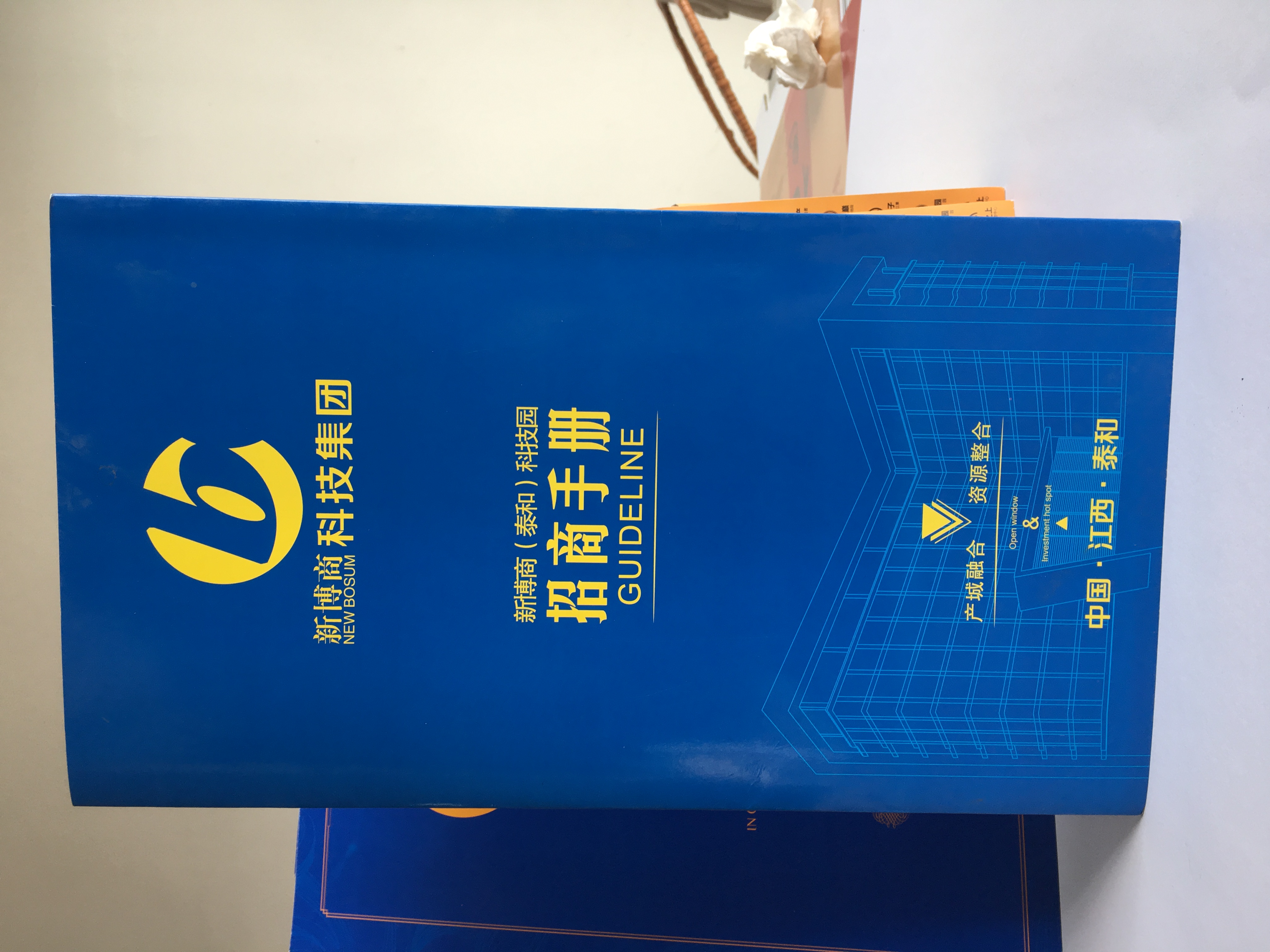 畫冊宣傳單批發(fā)   畫冊宣傳單供貨商  畫冊宣傳單廠家   畫冊宣傳單