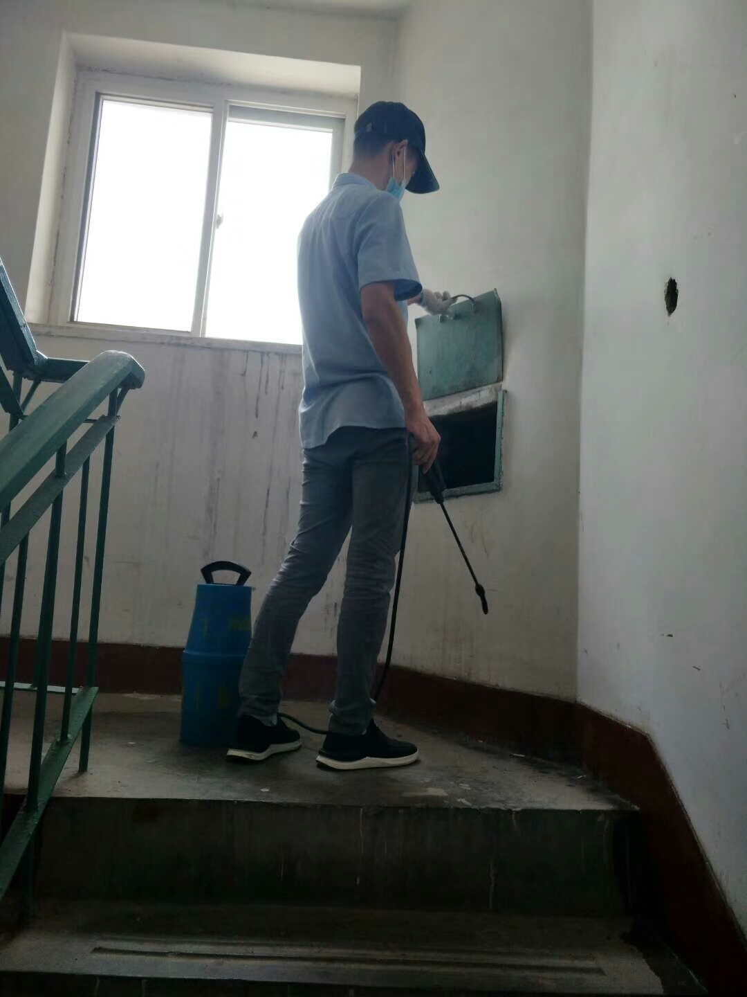 消殺公司 除四害公司 滅老鼠 滅蟑螂 滅蚊蠅 滅白蟻 滅跳蚤 滅臭蟲(chóng)等衛(wèi)生害蟲(chóng)。