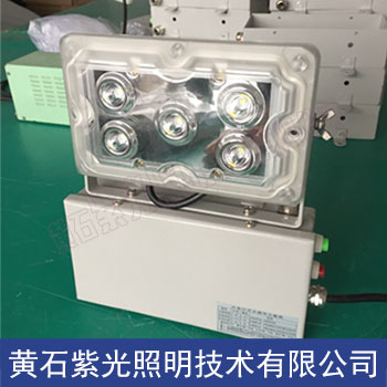 NFE9178應急壁燈5W GAD605低頂燈ZY8810參數(shù)NFC9178