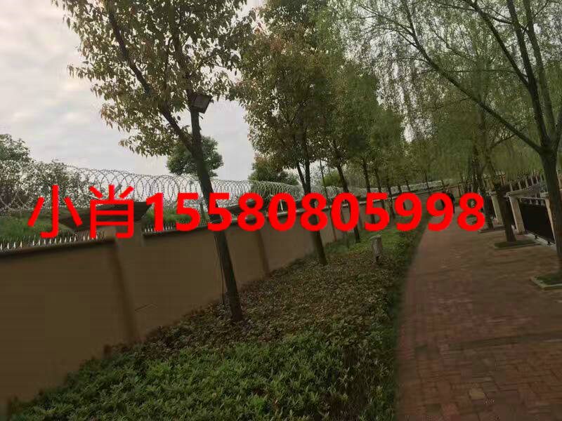 圍墻尖刺，長(zhǎng)方形鐵刺，防盜防爬刺
