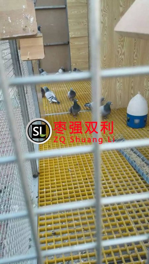 養(yǎng)殖場(chǎng)格柵板@養(yǎng)殖場(chǎng)格柵板廠(chǎng)家@養(yǎng)殖場(chǎng)格柵板厚度--棗強(qiáng)雙利