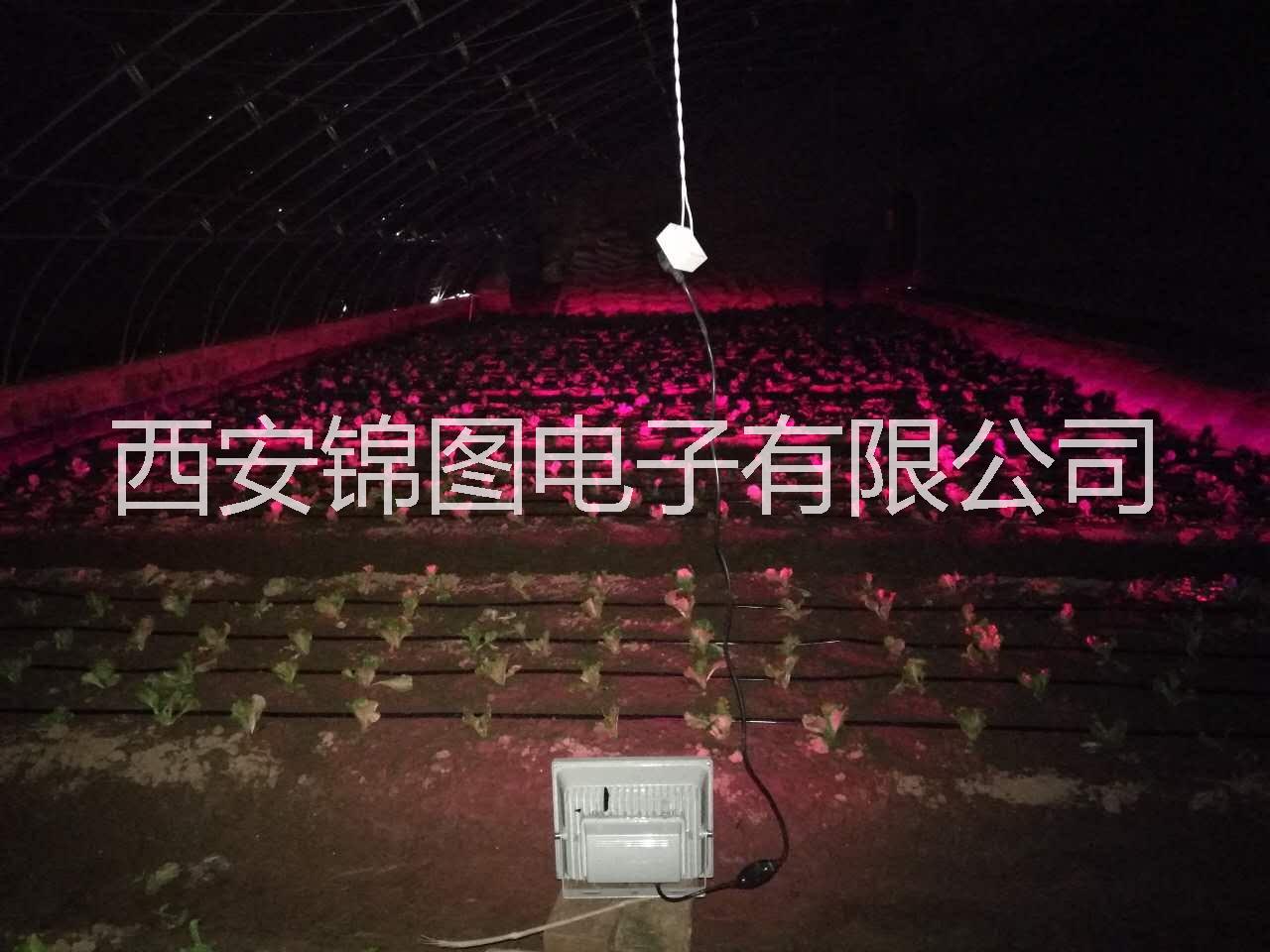 新款8W植物生長燈 低耗電大面積補光燈