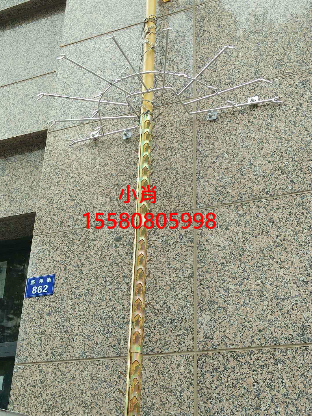 長(zhǎng)沙不銹鋼窗戶防爬刺物業(yè)防盜刺釘