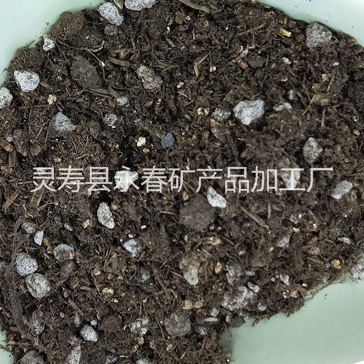草炭土 泥炭土 廠家生產(chǎn)育苗基質(zhì) 無土栽培有機營養(yǎng)土 家庭養(yǎng)花土