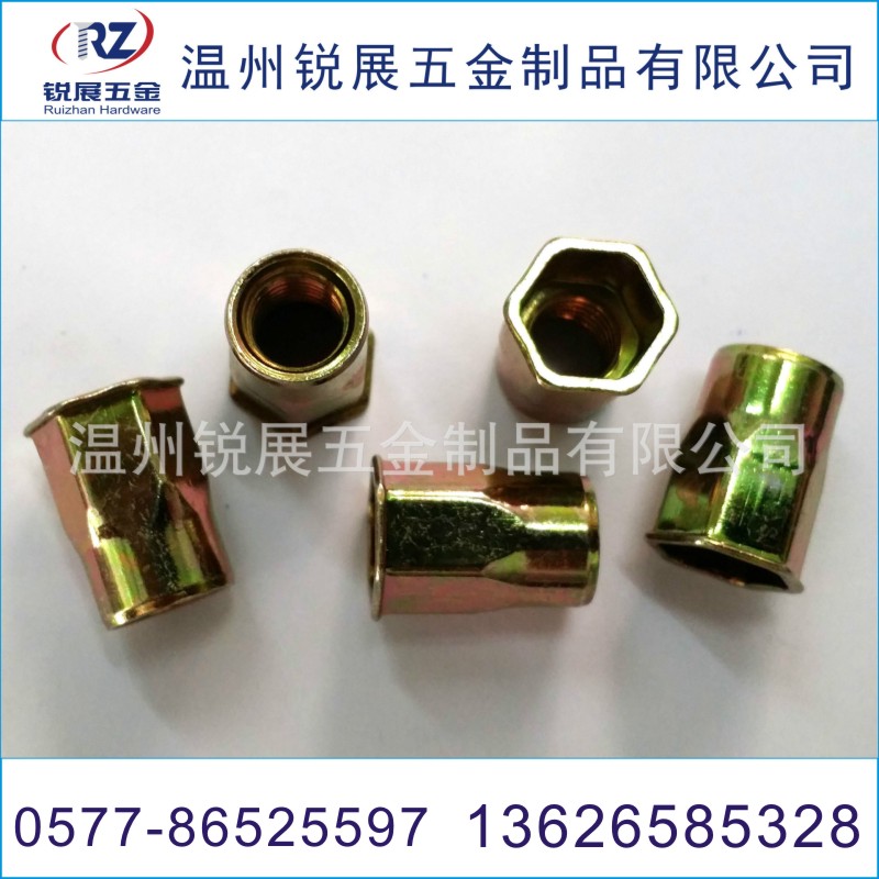 廠家直銷鉚螺母 碳鋼小沉頭內(nèi)外六角 拉鉚螺母 六角螺母 氣動拉帽 半六角 碳鋼鉚螺母