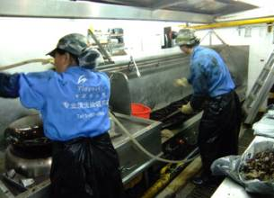 江門滅殺白蟻 江門滅殺蛀蟲 江門滅殺臭蟲 江門新會(huì)滅殺跳蚤