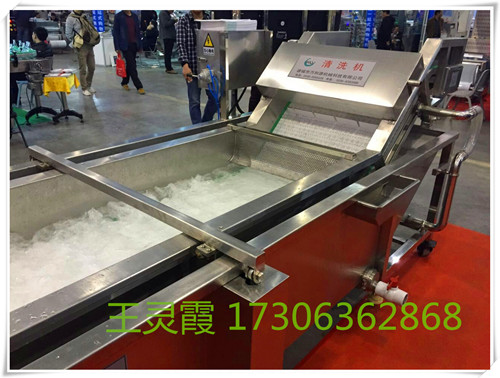 全自動連續(xù)沖浪果蔬清洗機(jī) 高壓氣泡清洗機(jī)價格