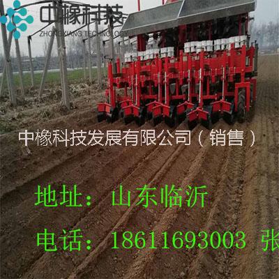 半自動(dòng)移栽機(jī) 長(zhǎng)期供應(yīng)廠家直銷(xiāo)
