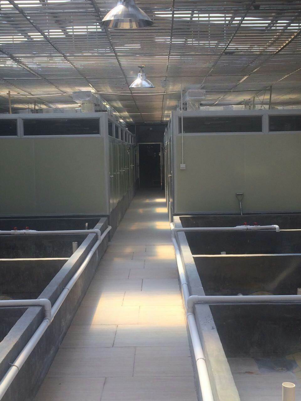 溫室?guī)淼慕?jīng)濟(jì)效益