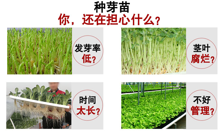 芽苗菜纖細(xì)不齊用益富源 芽苗菜纖細(xì)不齊用益富源芽苗生態(tài)寶